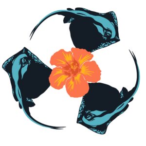 Eco Friendly Surf Wax